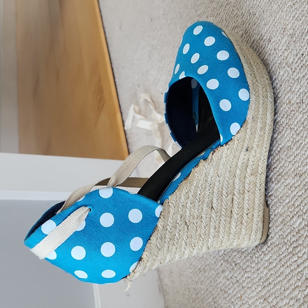 Blue polka dot picnic wedges